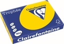 trophee a3 160g 250v goudgeel