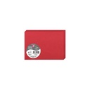 DUBBELE KAARTEN 25 STUKS (110X155MM, ROOD)
