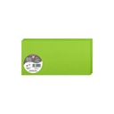 DUBBELE KAARTEN 25 STUKS (106X213MM, GROEN)