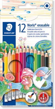 Etui Kleurpotloden Uitgombaar 12 Stuks