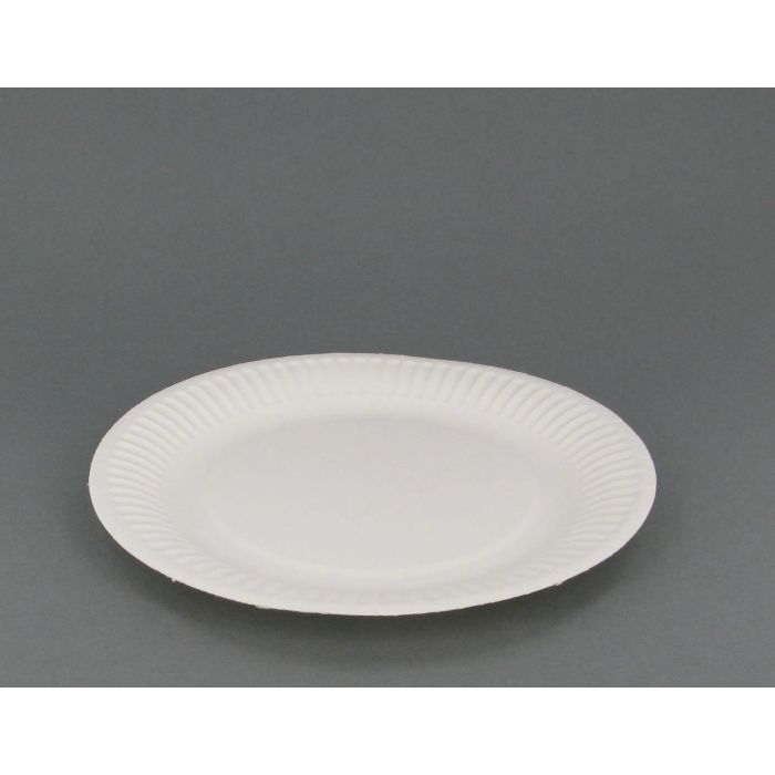 100 borden wit karton 23cm