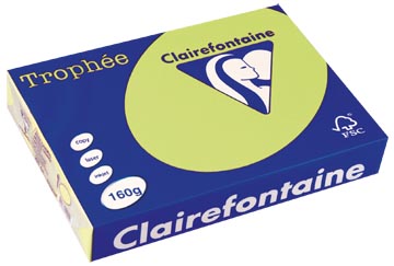 A4 TROPHEE (160GR, GOLFGROEN, 250)