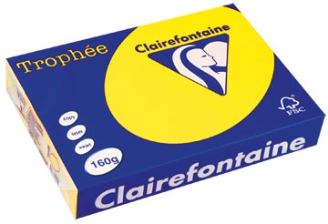 A4 Trophee (160Gr, Zonnegeel, 250)