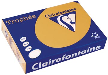 A4 Trophee (160Gr, Mokkabruin, 250)