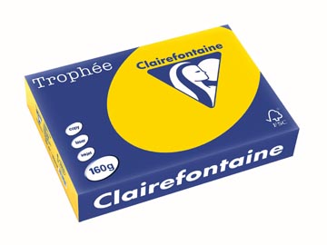 A4 Trophee (160Gr, Goudgeel, 250)