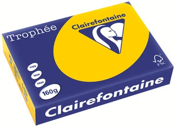 a4 trophee (160gr, zonnebloemgeel, 250)