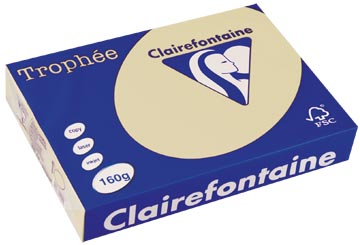 A4 Trophee (160Gr, Gems-Chamois, 250)