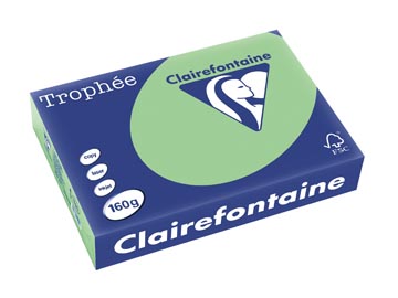 A4 Trophee (160Gr, Natuurgroen, 250)