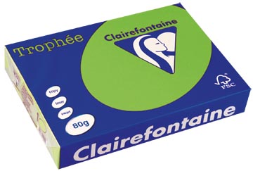 a4 trophee (80gr, grasgroen, 500)