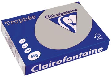 A4 Trophee (80Gr, Lichtgrijs, 500)