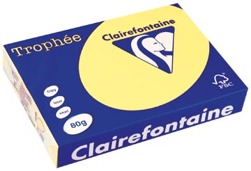 A4 Trophee (80Gr, Citroengeel, 500)