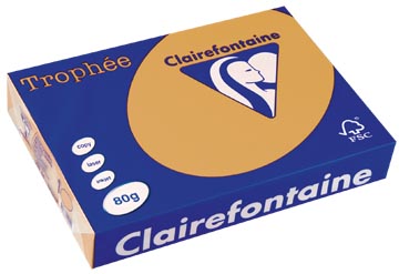a4 trophee (80gr, mokkabruin, 500)