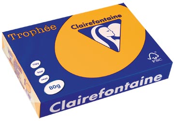 a4 trophee (80gr, goudgeel, 500)