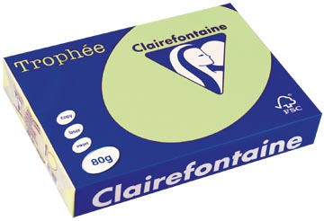 a4 trophee (80gr, groen, 500)