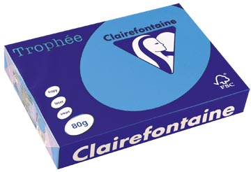 a4 trophee (80gr, koningsblauw, 500)