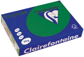 A4 TROPHEE (80GR, DENNENGROEN, 500)