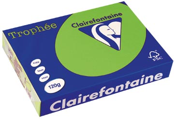 a4 trophee (120gr, grasgroen, 250)