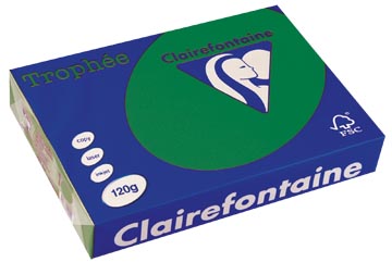 A4 Trophee (120Gr, Dennegroen, 250)