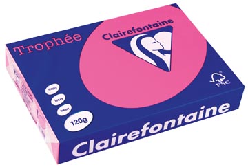 A4 Trophee (120Gr, Fel Roze, 250)