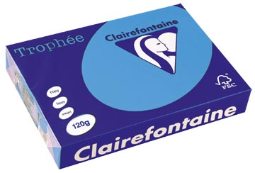 a4 trophee (120gr, koningsblauw, 250)