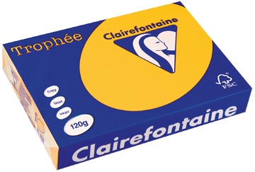 a4 trophee (120gr, zonnebloemgeel, 250)
