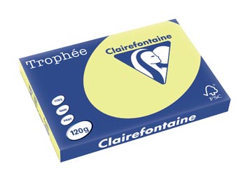 [E*1307] CITROENGEEL 250VEL A3 120GR CLAIRFONTAINE