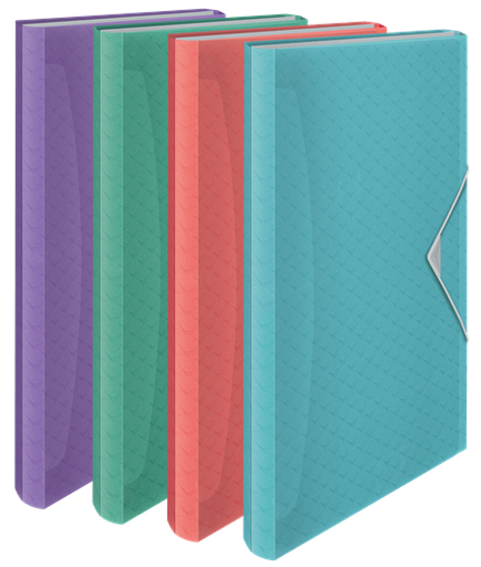 [626254] E.LAF COLOUR'ICE PROJECT MAP ASS