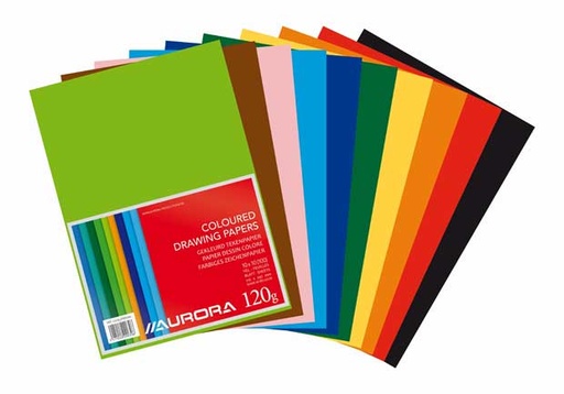 [21X29.7/ASS10] 100 vel gekleurd papier a4 120gr