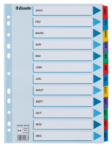 [100165] Luxe Mylar Index Kart.A4 Jan-Dec Kleur