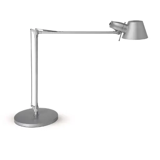 [8234195] Bureau Lamp Maulrock Zilver