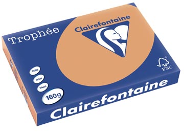 [E1109RC] KARAMEL 250VEL A3 160GR CLAIREFONTAINE