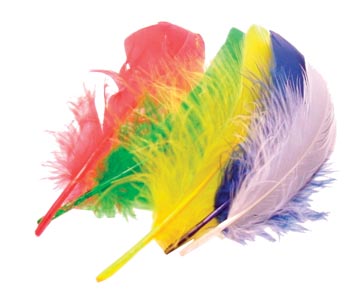 [14103] 50 Pluimen 15 Cm (Groen,Rood,Blauw,Geel,Wit)