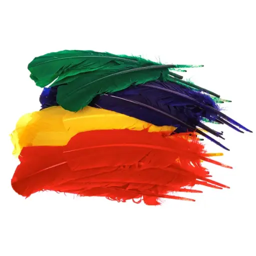 [14104] 50 pluimen 30 cm (groen,rood,blauw,geel)