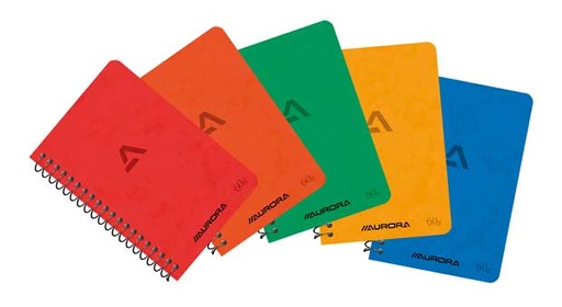 [1140GQ5] Spiraalschrift Karton (7.5X11Cm, 40Blz, Geruit)