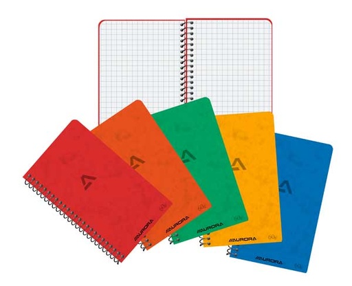 [1450GQ5] Spiraalschrift Karton (8X13,5Cm, 80Blz, Geruit)