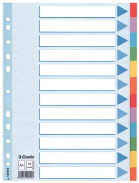 [100194] VERDEELKAARTEN KART. A4 12 TABS/VOORBLAD