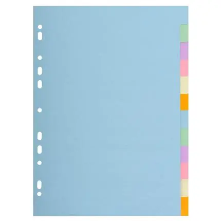 [E1612] verdeelkaarten karton a4 12 tabs