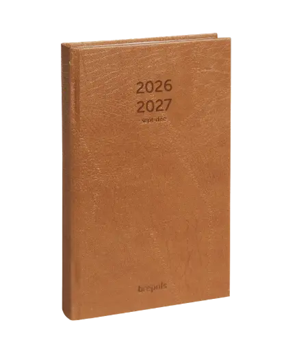 [221033950360] Agenda 16m saturnus lucca bruin