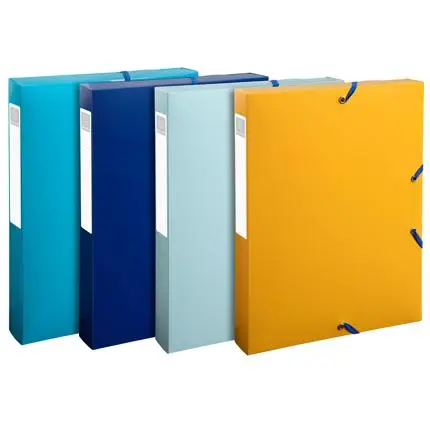 [59140E] KLASSEERDOOS PP 40MM A4 BEE BLUE ASSORTI