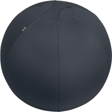 [65420089] Leitz Ergo Actieve Zitbal 65 Cm Anti-Rol Donkergrijs