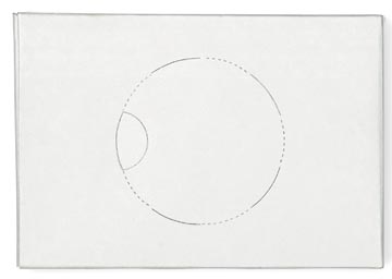 [TORK204041] TORK HYGIËNEZAKJES, PLASTIEK, WIT, SYSTEEM B5, DOOS VAN 25st