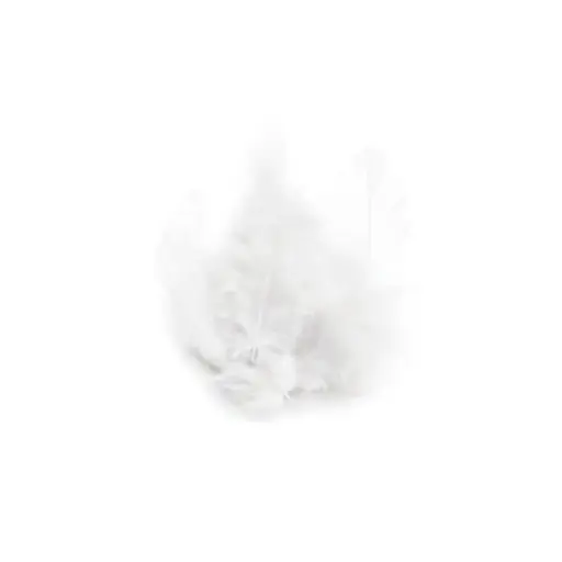 [460411] pluimen wit 10cm