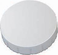 [195524] 10 ST MAGNEET MAUL (24MM, WIT)