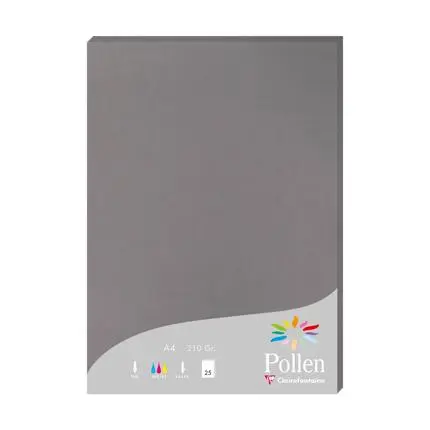 [24283c] Pollen, 25 Bladen, 210G, 210X297Mm - Gris Acier