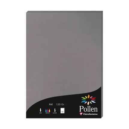 [4283c] Pollen, 50 Bladen, 120G, 210X297Mm - Gris Acier