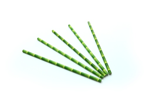 [S20648] Drinkrietjes Papier (Fsc®) Bamboe Look Ø 6 Mm / 20Cm Zak À 200