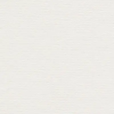 [860300] Conqueror Vergé Watermerk 100 Gram High White (100Gr, Wit, 50 Vellen)