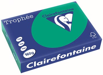 [E*1019] A4 TROPHEE (160GR, DENNEGROEN, 250)