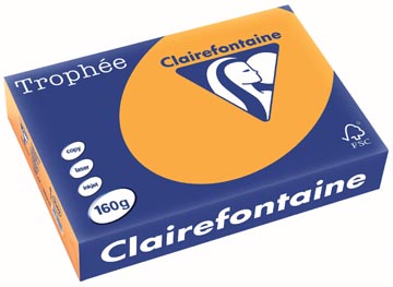 [E*1042] A4 TROPHEE (160GR, ORANJE, 250)