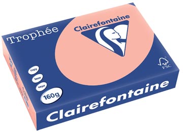 [E*1049] A4 TROPHEE (160GR, PERZIK, 250)